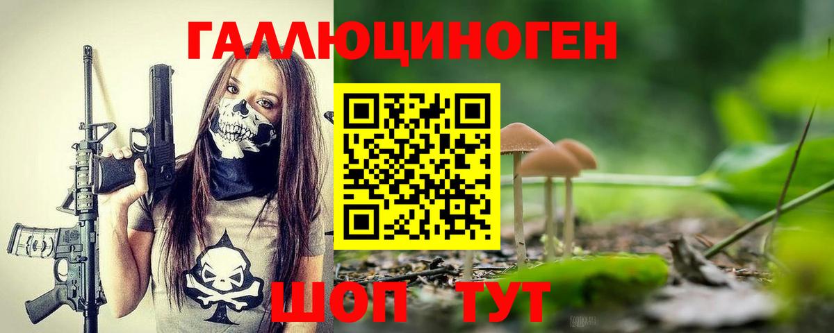 Галлюциногенные грибы Psilocybine cubensis Гулькевичи