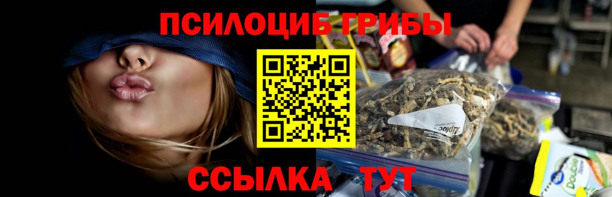 Гулькевичи  Галлюциногенные грибы Psilocybine cubensis  дарнет шоп  Вход с VPN  Псилоцибиновые грибы ЛСД 
